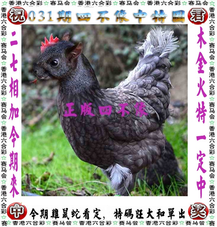 031期正版四不像[图]