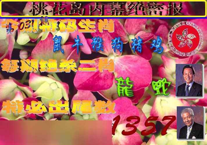 031期桃花岛内幕报[图]