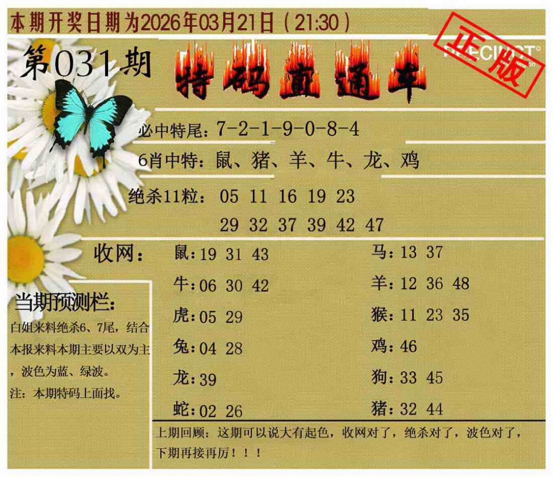031期特码直通车[图]